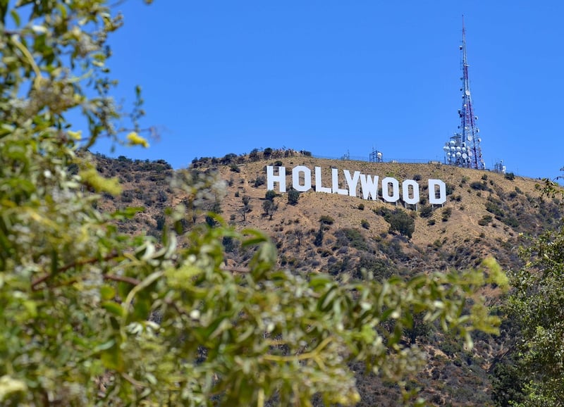 Hollywood Hookups